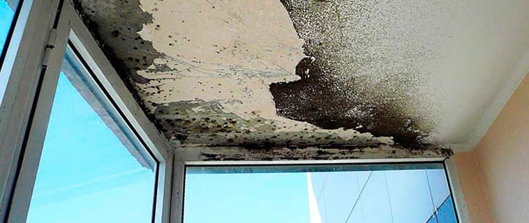 Как избавиться от плесени на балконе